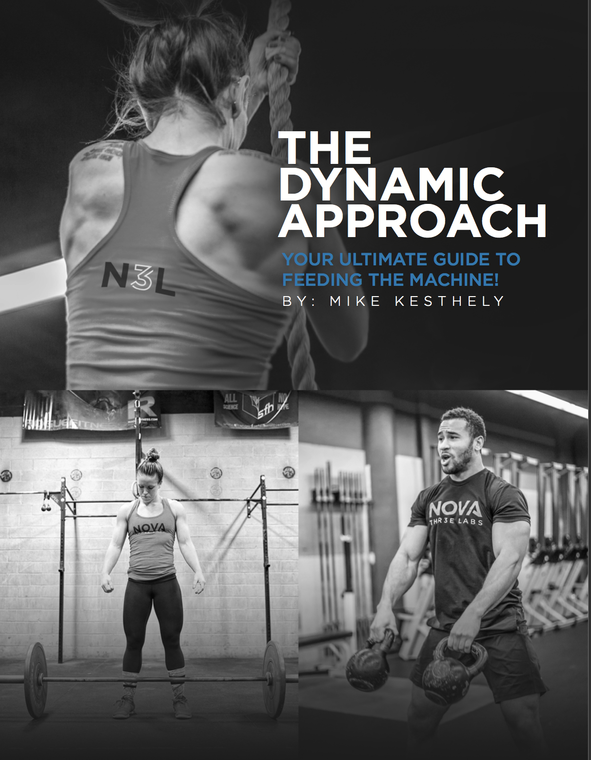 The Dynamic Approach: Your ultimate guide to Feeding the Machine E-book!
