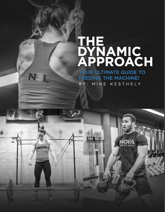 The Dynamic Approach: Your ultimate guide to Feeding the Machine E-book!